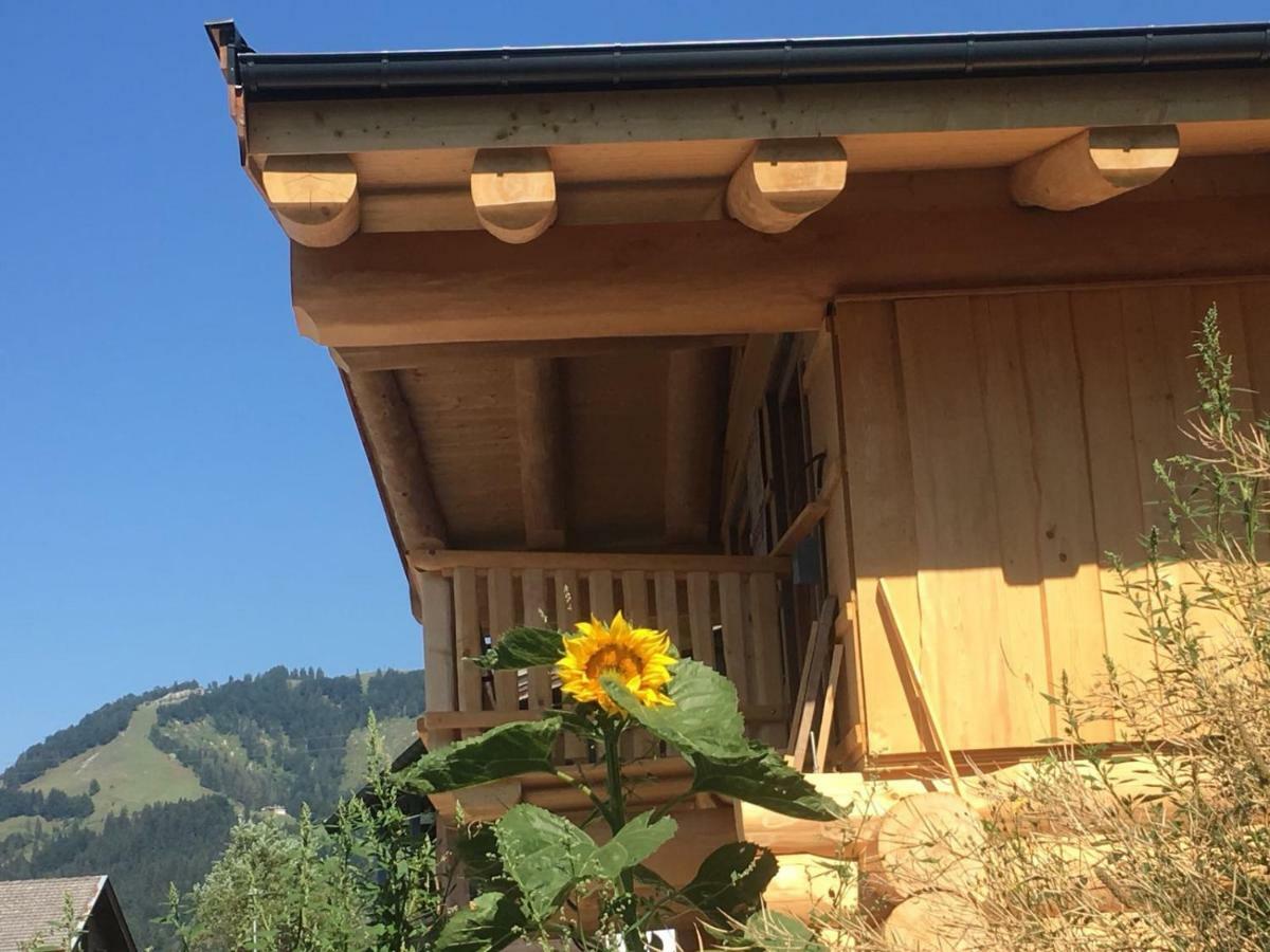 Chalet Karin ホッホフィルツェン エクステリア 写真